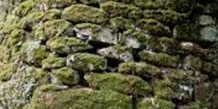 Il comune di Burgos punta anche sull’archeologia per la promozione e la valorizzazione del territorio