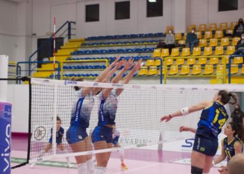 Hermaea corsara anche a Sant’Elia