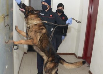 Ieri pomeriggio, a Cagliari, i carabinieri hanno denunciato a piede libero, per il reato di ricettazione, un 32enne nigeriano