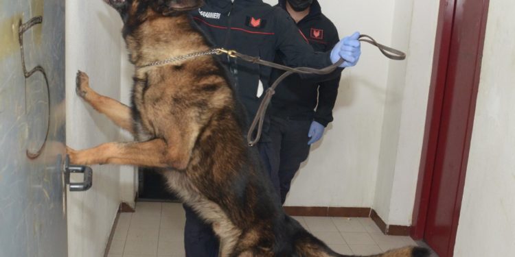 Ieri pomeriggio, a Cagliari, i carabinieri hanno denunciato a piede libero, per il reato di ricettazione, un 32enne nigeriano