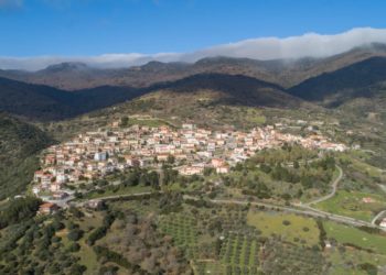 Lei: attivata la connessione in fibra ottica