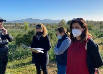 Pula: si lavora per la realizzazione del canile comunale