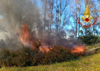 Alghero: incendio in località San Marco, sul posto i vigili del fuoco