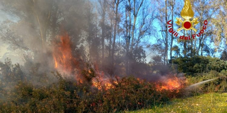 Alghero: incendio in località San Marco, sul posto i vigili del fuoco