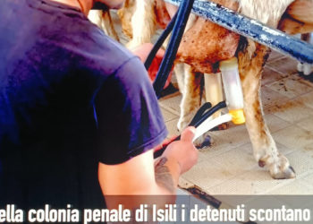 E’ stato presentato alla Fondazione di Sardegna il documentario “Dagli scarti nascon tesori” on line fino a domenica