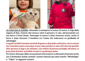 Bambino ucraino di 4 anni in fuga da Kiev scomparso. Appello dell’Associazione Cittadini del Mondo Odv di Cagliari per le ricerche