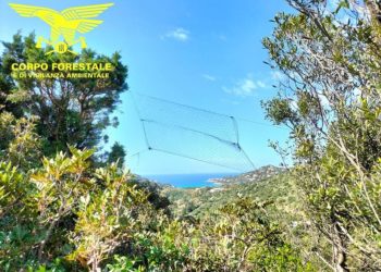 Bracconaggio: denunce a Capoterra e Maracalagonis