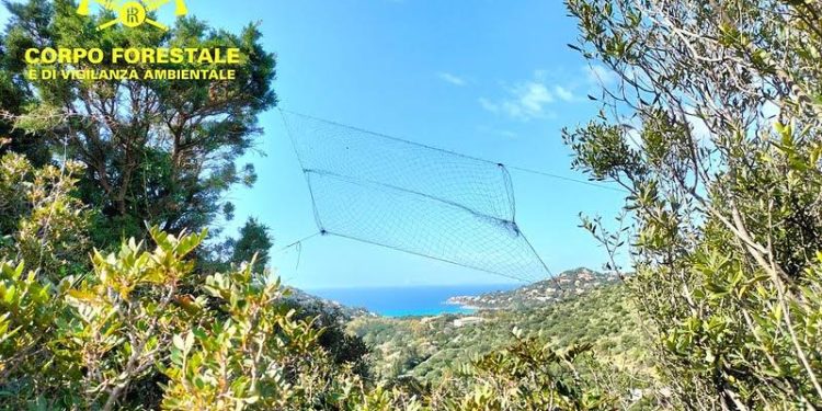 Bracconaggio: denunce a Capoterra e Maracalagonis
