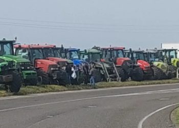 Soci Coldiretti Sardegna: «Solidarietà agli autotrasportatori, ma consentire l’imbarco almeno dei prodotti deperibili»