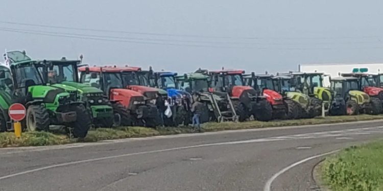 Soci Coldiretti Sardegna: «Solidarietà agli autotrasportatori, ma consentire l’imbarco almeno dei prodotti deperibili»