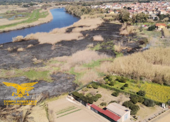 Oggi due incendi hanno richiesto l’intervento del mezzo aereo del Corpo forestale a Riola e Fonni