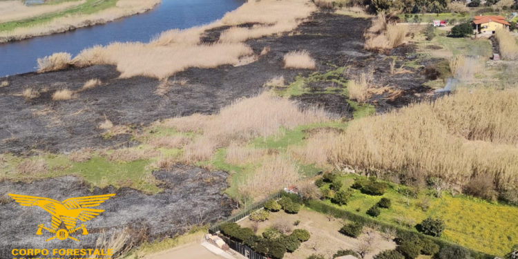 Oggi due incendi hanno richiesto l’intervento del mezzo aereo del Corpo forestale a Riola e Fonni