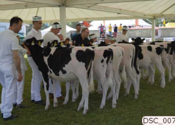 Arborea: parte la macchina organizzativa della Fiera dell’Agricoltura