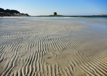 Stintino: anche per il 2022 la spiaggia della Pelosa sarà a numero chiuso