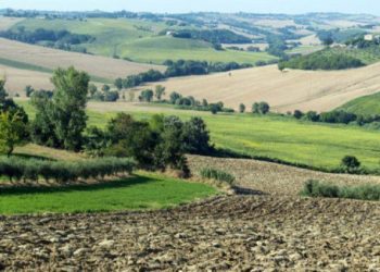 “Trexenta Experience”: al via il progetto per la promozione del territorio