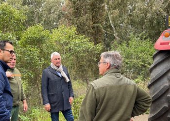 Alghero, accordo tra comune e Forestas: partono gli interventi di sistemazione della viabilità della bonifica algherese