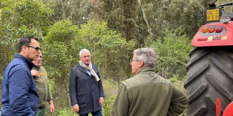 Alghero, accordo tra comune e Forestas: partono gli interventi di sistemazione della viabilità della bonifica algherese