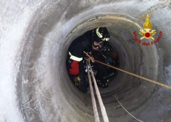A Decimoputzu i vigili del fuoco hanno recuperato da un pozzo un falchetto ferito