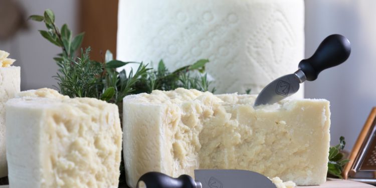 Macomer: il Consorzio di tutela del Pecorino Romano racconta i caseifici che hanno reso grande la Dop nel mondo