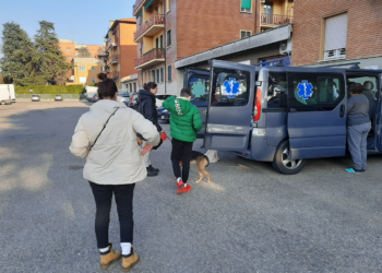 Ucraina, Budapest-Bologna, la ‘deviazione’ del taxi salva-profughe