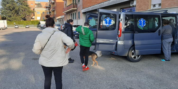 Ucraina, Budapest-Bologna, la ‘deviazione’ del taxi salva-profughe