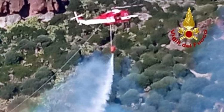 Castelsardo: a fuoco un canneto, sul posto i vigili del fuoco