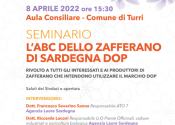 Venerdì 8 aprile, alle ore 15.30, nell’aula consiliare del comune di Turri, si terrà il convegno dal titolo l’ABC dello Zafferano di Sardegna DOP