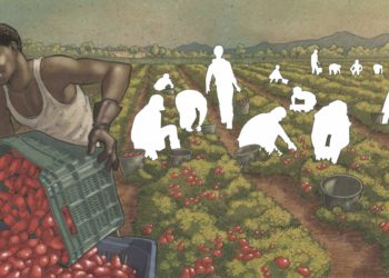 Christian Solinas: «Lavoriamo per trovare ogni soluzione utile affinché venga garantito il diritto al lavoro»