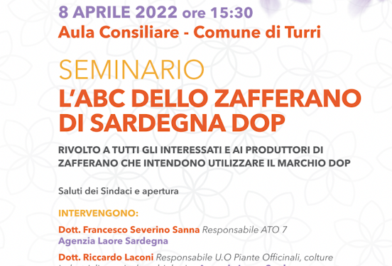 Venerdì 8 aprile, alle ore 15.30, nell’aula consiliare del comune di Turri, si terrà il convegno dal titolo l’ABC dello Zafferano di Sardegna DOP
