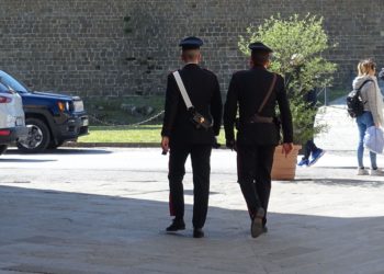 Un trentenne svizzero è stato denunciato a piede libero dai carabinieri di Serrenti, per truffa aggravata ed accesso abusivo ad un sistema informatico