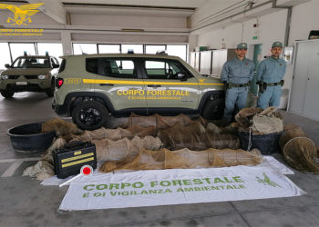 Operazione del Corpo forestale a Cabras e Nurachi: sequestrati 15 bertovelli