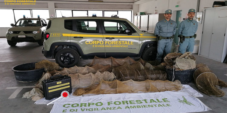 Operazione del Corpo forestale a Cabras e Nurachi: sequestrati 15 bertovelli