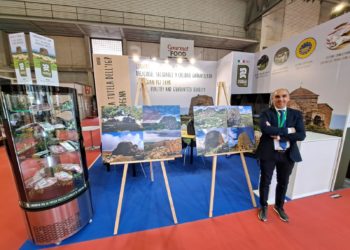 «L’agnello Igp vola alle fiere in Spagna, nelle aste e nel prezzo», a dirlo è Contas