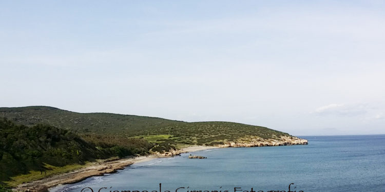 La Giunta regionale ha stanziato altri 2 milioni di euro per gli enti locali per il contrasto all’erosione delle coste