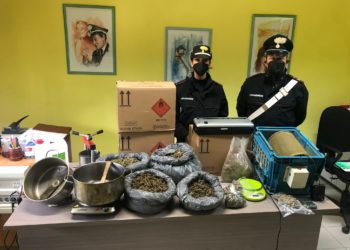 Ieri mattina i carabinieri di San Gavino Monreale hanno arrestato un 63enne in flagranza di reato per detenzione ai fini di spaccio di marijuana