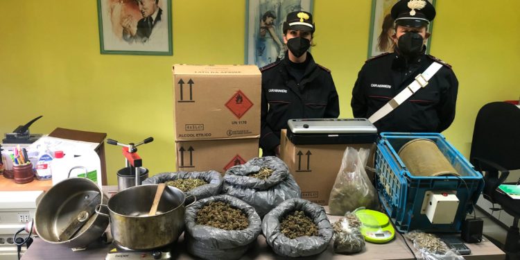 Ieri mattina i carabinieri di San Gavino Monreale hanno arrestato un 63enne in flagranza di reato per detenzione ai fini di spaccio di marijuana