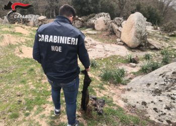 Operazione dei carabinieri dei N.O.E. di Cagliari, Firenze e Brescia, a Villagrande Strisaili, Prato e Desenzano del Garda