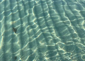 San Teodoro: 200 studenti della scuola primaria celebrano l’Earth Day
