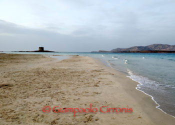 Pelosa, il Consiglio comunale ha approvato la variante al Puc