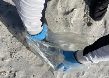 San Teodoro: 250 bambine e bambini a lezione di sostenibilità nella spiaggia della Cinta