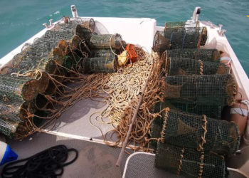 A Capo Caccia sono stati sequestrati 2.270 ricci pescati abusivamente