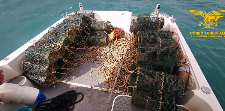 A Capo Caccia sono stati sequestrati 2.270 ricci pescati abusivamente