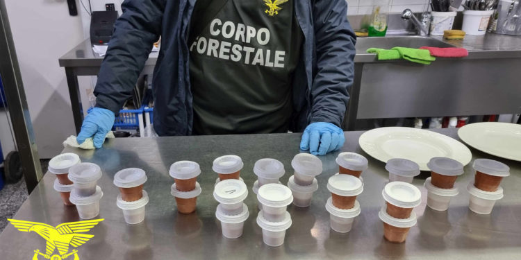 I controlli effettuati dal Corpo forestale nel mese di aprile sulla commercializzazione del riccio di mare