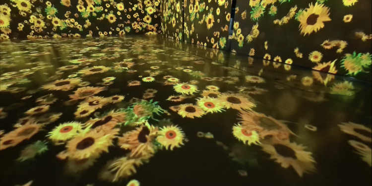 Domani, alle 16.00, nel Cinema Teatro Ariston di Bitti, verrà inaugurata la mostra multimediale “Van Gogh – Il Sogno”