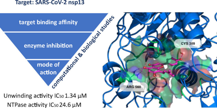 La rivista americana “ACS Pharmacology and Translational Science” ha pubblicato uno studio scientifico sulla lotta contro il Coronavirus