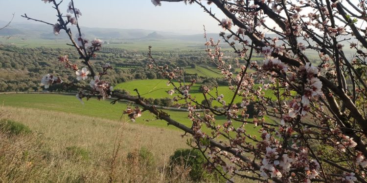 Nasce il “Distretto Rurale Marmilla Verde”