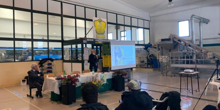 Ussaramanna, ecco la proposta di legge regionale di iniziativa popolare per la tutela della flora