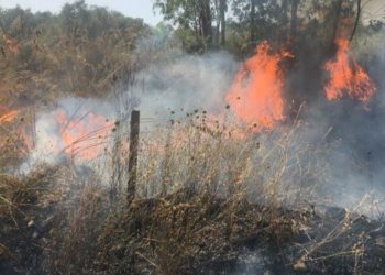 Incendi nelle cunette della strada tra Vallermosa, Siliqua e Villacidro, arrestato un 26enne