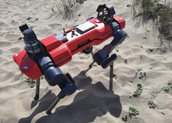 Naturale Intelligence: tra i partecipanti anche l’Università di Sassari