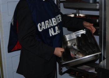 Nel corso di un controllo in un esercizio pubblico di gastronomia, i carabinieri del Nas di Cagliari hanno riscontrato la presenza di prodotti ittici non tracciabili